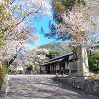 割烹旅館 かんな和 別邸に関する旅行記 ブログ フォートラベル 別府温泉