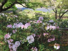 久し振りに皇居東御苑を訪問⑤天守台～桜の島～本丸大芝生