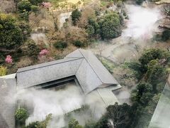 ２０２２年　３月　弾丸日本里帰り旅行記　最終章　椿山荘宿泊記