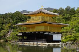 春爛漫、桜の花に酔いしれる京都・滋賀の旅♪ vol.1 黄金に輝く金閣寺、わら天神、平野神社、北野天満宮、ポルトガル・カフェ、梅小路　花伝抄