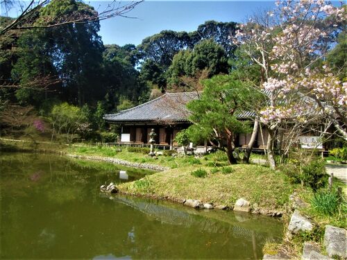 花吹雪の古寺巡礼～浄瑠璃寺と岩船寺、そして周囲の石仏』木津・加茂