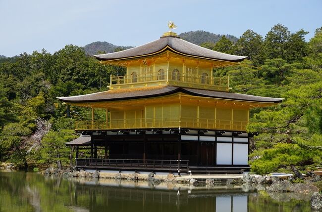 春爛漫、桜に酔いしれた4日間の京都と滋賀の旅です。<br />「京都の桜」が見たい！<br />京都の寺社や街並みに、華やかに咲く桜が見たい。<br /><br />4月5日からの京都、桜は散ってしまっているかも知れない・・・<br />そう覚悟していました。<br />ところが、行くところ行くところ、青空に華やかに咲く桜の花に大満足です。<br /><br />今回も新幹線にするか飛行機にするか迷いましたが、便利な新幹線に・・・<br />東海道新幹線は、通勤や東京駅のラッシュを避けて午前7時21分・東京発ののぞみ205号としました。<br /><br />日程<br />■2022年4月5日　 自宅～東京～京都　<br />　　　　　　　　　金閣寺、京料理「柚多香」、わら天神、平野神社、<br />　　　　　　　　　北野天満宮、上七軒<br />　　　　　　　　　ポルトガル・カフェ「カステラ・ド・パウロ」<br />　　　　　　　　　京都梅小路　花伝抄（泊）　<br /><br />□2022年4月6日　 建仁寺、中国料理「青冥」、白川南通り・巽橋、<br />　　　　　　　　　八坂神社、狐の嫁入り、カフェ・レストラン「長楽館」<br />　　　　　　　　　京都梅小路　花伝抄（泊）<br /><br />□2022年4月7日　 京都～大津/滋賀県<br />　　　　　　　　　琵琶湖疏水、園城寺（三井寺）、<br />　　　　　　　　　びわ湖大津プリンスホテル（泊）<br /><br />□2022年4月8日　　大津～京都～東京～自宅<br />　　　　　　　　　  琵琶湖周辺散策、京都駅でお土産さがし　<br />・・・・・・・・・・・・・・・・・・・・・・・・・・・・・・・・<br />☆金閣寺　　https://www.shokoku-ji.jp/kinkakuji/<br />☆京料理「柚多香」<br />　https://www.hotpepper.jp/strJ000108980/lunch/　　　　<br />☆平野神社　　https://www.hiranojinja.com/home　　<br />☆北野天満宮　　https://kitanotenmangu.or.jp/　　　　<br />☆ポルトガル菓子・カフェ「カステラ・ド・パウロ」<br />　https://castelladopaulo.com/<br />☆京都梅小路　花伝抄<br />　https://www.hotespa.net/hotels/umekoji_kadensho/