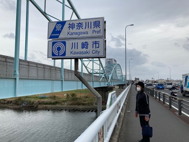 拙宅は横浜市鶴見区にありますが、何故か鶴見川の北側。つまり、多摩川と鶴見川の間に位置します。距離的にも鶴見駅に行くよりも川崎駅の方が近いという場所です。<br />実は、鶴見区は鶴見川を挟んで川崎寄りのエリアと横浜寄りのエリアがあるという不思議な地域となっています。一般的には、国境、県境や市境は山や海、川などの自然環境によって定められることが多いのですが、横浜市と川崎市の市境はそうでは無いようです。<br />調べますと、大正14年に鶴見川の南側にあった3つの村（生麦村、鶴見村、東寺尾村）と、北側にあった6つの地区（潮田村、菅沢村、市場村、矢向村、江ヶ崎村、小野新田）が、2度の編入（町田村→潮田町への改名を含む）を経て「鶴見町」としてひとつにまとめられました。この頃は、まだ横浜「市」が成立していないので、「神奈川県橘樹郡」となっていました。<br />つまり、この時点で鶴見町という「川を挟んで南北にまたがる一つの町」ができたということになります。その後、鶴見町が横浜市に編入され「鶴見区」になったと言うわけです。<br />と言うわけで、もしかしたら川崎市だったかもしれない場所の住民の私は川崎も愛しておりまして、よくウォーキングもしております。<br />そんな最近の川崎の様子を幾つか載せてみます。<br />