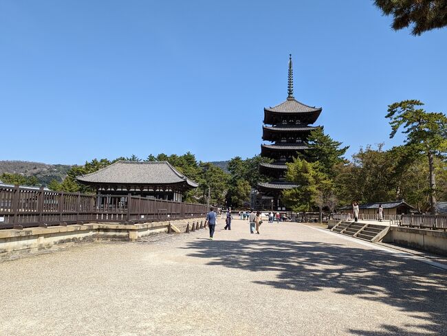 ここ数年コロナ禍だが、今年もどこか二日三日で行ける場所に行こうと夫と検討していたが、どうせ行くなら遠出しよう！ということになり、いつか行こうと言っていた京都・奈良に行先を決めた。夫は京都の清水寺しか訪れたことがないので案内するがてら備忘録をとることにしました。<br />行先は、夫の要望の奈良の鹿、桜を見る、伏見稲荷、の３か所を入れ、あとは私の行ったことのないところに行くことにしました。<br /><br />【旅行日程】　★この旅行記になります。<br />★１日目：奈良観光<br />・２日目：吉野桜、京都夜のライトアップ<br />・３日目：比叡山延暦寺、伏見稲荷<br />・４日目：大原<br />・５日目：桂離宮