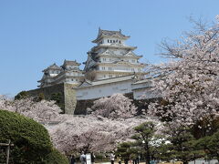 お城と桜と青い空