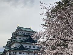 初めての名古屋【名古屋市内編】ぴよりんに始まりぴよりんに終わる…