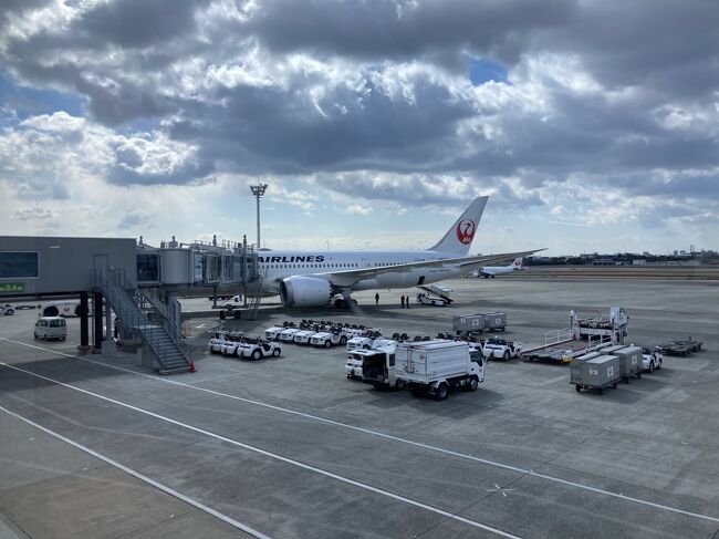 前回JALのA350で東京→大阪を飛んだので今回は787で大阪→東京を飛びます。<br />ぶっちゃけ短距離フライトのエコノミーって特に書く事ないんですよね笑<br />旅行気分は味わえると思うので写真だけでも楽しんでいってください。<br />今回はだいぶ手抜きです
