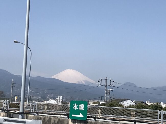 母のお誕生月なので熱海温泉で１泊しました。<br />海鮮は美味しいし、波の音にも、癒されました。<br /><br />二藤商店：神奈川県足柄下郡真鶴町真鶴４０４－１６<br />　　お魚屋さんです<br />マックスバリュー熱海店：静岡県熱海市中央町１９－３９<br />