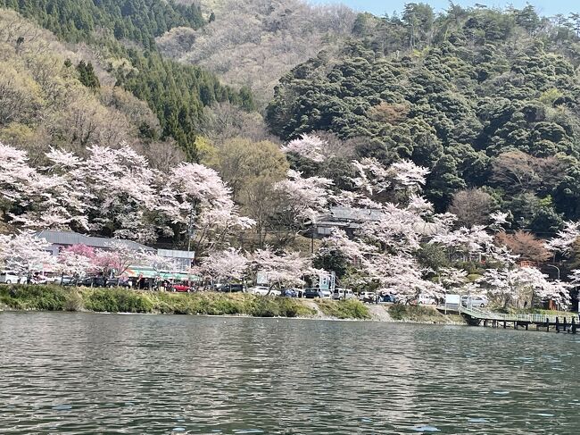 海津大崎に桜を見に行きました。<br /><br />前回バスツアーできたのですが、かなり前の予約でしたので、<br /><br />咲き始めといった様子で残念でした。<br /><br />今回は桜の状況をみて、予定を決めました。<br /><br />マキノ駅からは遠いので、今津港からの船を予約しました。