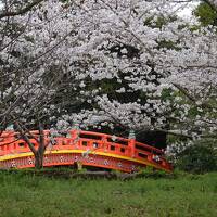 神社とグルメの旅　①大分編