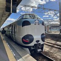 鉄道とパンダを満喫