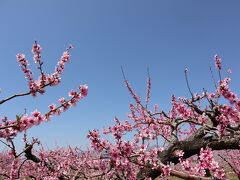 花見台