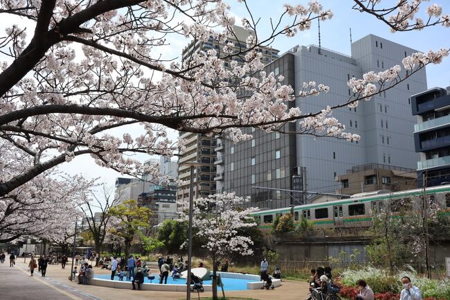 2022年3月27日、ＪＲ京浜東北線の大森駅界隈にある大井水神公園(おおいすいじんこうえん)は電車の車窓からもひと時の桜見が楽しめる一画で、この日はほぼ満開に見えたので一旦下車して散歩してみました。