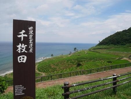 石川に日帰り旅行。ANAプレミアムクラス。空港でレンタカーを借りて、輪島の朝市へ。コロナの影響か、人通りもまばらで「これが日本トップクラスの朝市？」と思うほどお店も活気なし。海幸で握りずしを頼んで、魚の名前を尋ねると「壁に貼ってあるのがそうです」と、その順番ではなさそうだし、どれがどの魚だか？？？その後、能登牛コロッケと串焼きを食べてから、千枚田を見てあちこち地のもの探し。空港で地酒と能登牛丼で軽く腹ごしらえして帰路につきました。