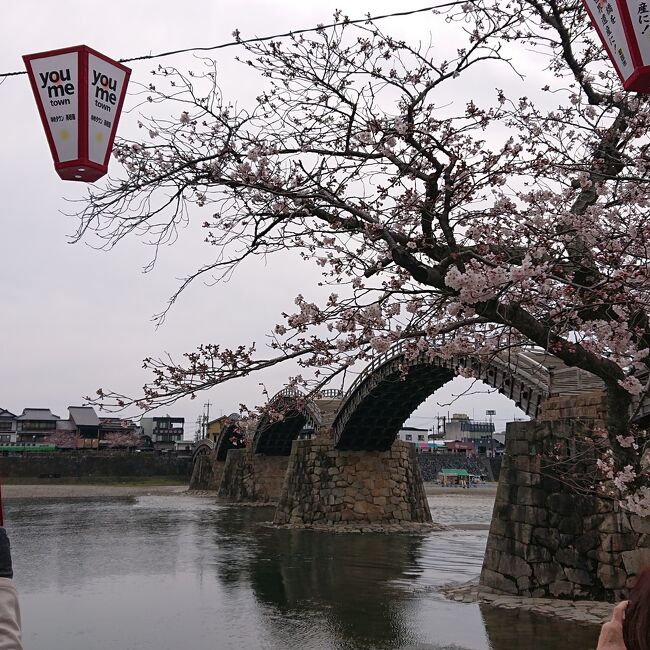 コロナの為、今年は海外を諦め国内旅行をすることに。<br />中1と今年受験生だった中3の卒業旅行も兼ねて、家族4人で。<br />まだ行ったことのない山陰、山陽方面へ。<br /><br />すべて個人手配で。<br />宿は4人で1部屋。しかも、1人1ベット(1布団)にこだわって宿をとってます。<br /><br />広島→島根→鳥取→兵庫を主に観光しました。<br /><br />2日目は朝からレンタカーを借りて広島観光。<br />