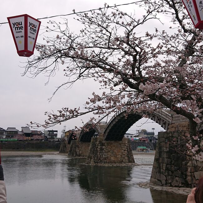 コロナの為、今年は海外を諦め国内旅行をすることに。<br />中１と今年受験生だった中３の卒業旅行も兼ねて、家族４人で。<br />まだ行ったことのない山陰、山陽方面へ。<br /><br />すべて個人手配で。<br />宿は４人で１部屋。しかも、１人１ベット（１布団）にこだわって宿をとってます。<br /><br />広島→島根→鳥取→兵庫を主に観光しました。<br /><br />２日目は朝からレンタカーを借りて広島観光。<br />