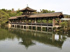 花の平安神宮散策