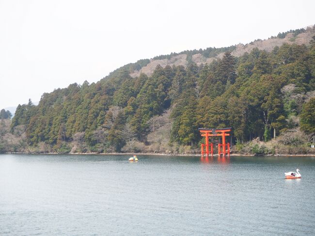 実はちゃんと観光したことが無かった神奈川県を2泊3日で味わいつくしてきました。<br />なかなか良い工程を組めたと思います。<br />初日:箱根 2日目:鎌倉 3日目:横須賀<br /><br />今回は初日の箱根編です。
