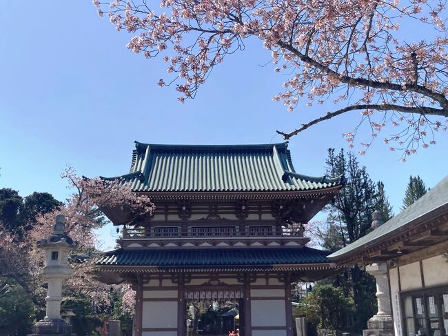 地元の房総を巡る再発見の旅。シリーズ2回目は、地元であり、行政でも深くかかわってきた北総、特に成田市を中心に郷土の歴史を主題に歩いてみました。<br /> とあるトラベラーさんの旅行記で、「光と影は表裏一体である」という一文と、そして、あえて「影」の部分を「隠さず」、むしろ主題とした旅行記に私は心を動かされました。<br /> 「観光」とは「光」ばかりではない、時には「観影」ともいうべき、影の部分も見つめ、そこに光を当てることも必要であると言う点で、私も共感します。<br /> 「負の遺産」というもの、それは古今東西関係なくどこにでも存在しています。それでは、我が郷土北総にも、負の遺産、歴史の「影」があるのでしょか。<br /> あります。今回は、そのうち、2つの「影」を取り上げます。<br /> 「義民佐倉宗吾」と、「成田闘争」です。どちらも北総、佐倉、そして成田の歴史を語るうえで外すことの出来ないものです。<br /> トラベラーの皆さんも利用されることが多い成田空港の「影」、私自身が行政で長く関わった佐倉の「影」。<br /> それでは歴史を旅しましょう。
