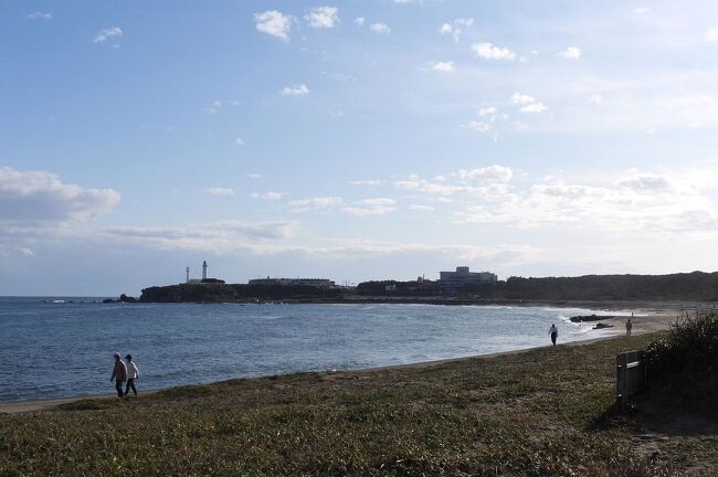 　友人から、銚子市の君ヶ浜周辺で珍鳥イスカが見られたとの情報を戴き、見に行ってきました。<br /><br />表紙写真は、君ヶ浜の風景です。<br />