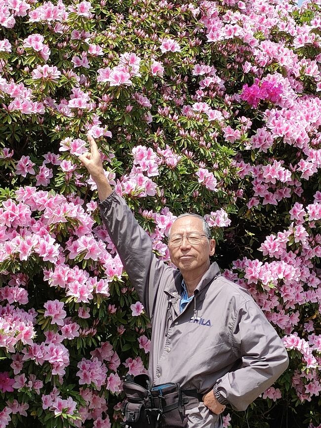 お母んが花を見に行ったんやけど花の名前が分からへんねん。