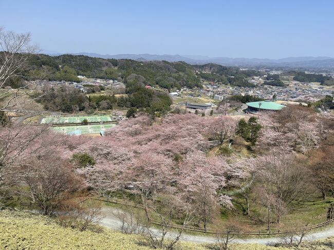 春旅　福島②　餃子　フルーツ　パン　海苔のりべん　支那そば<br /><br />五百川パーキングエリア<br />福島県立霞ヶ城公園(国指定史跡二本松城跡)<br />にほんまつ城報館<br />大山忠作美術館<br />二本松駅<br />玉嶋屋<br />御菓子処 日夏<br />道の駅安達智恵子の里下り線<br />茶屋沼公園<br />花見山公園<br />リッチモンドホテル福島駅前<br />古関裕而像<br />エスパル (福島店)<br />そば処丸松 エスパル福島店<br />福島駅<br />餃子 照井 福島駅東口店<br />コラッセ福島 福島県観光物産館<br />安達太良サービスエリア<br />フルーツピークス 八山田本店<br />大友パン店<br />郡山駅<br />福豆屋<br />奥の細道菓子処 三万石 郡山本店<br />柏屋 本店<br />正月屋<br />中郷サービスエリア<br />守谷サービスエリア 上り