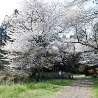 鑁阿寺・箕輪城・高遠城