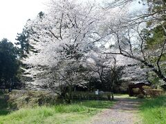 鑁阿寺・箕輪城・高遠城