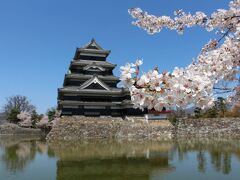 信州のお城（桜）巡り