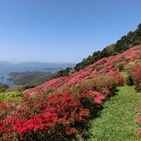 春の佐世保　絶景、グルメ、そして軍港クルーズ