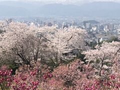 「福島に桃源郷あり」福島市の花見山を散策する