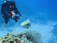 2022.04  誕生日Divingは慶良間＆那覇で飲み歩き