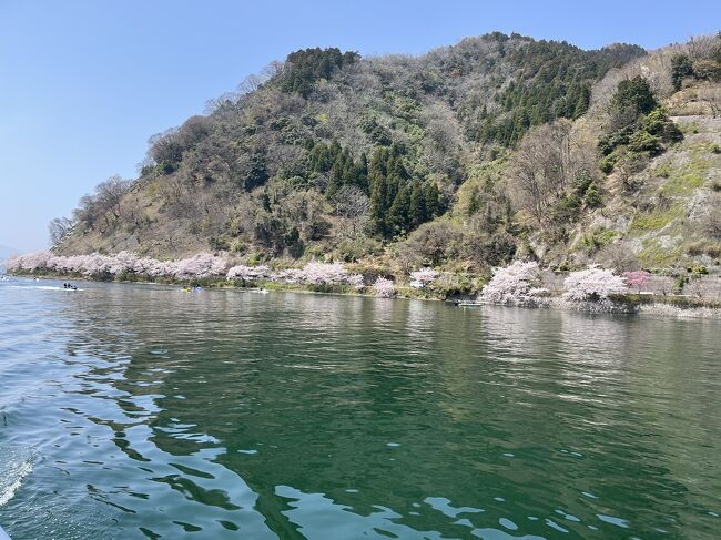 2021年の春、はじめて海津大崎を訪れましたが、雨の日で残念でした。今年は満を期して、晴れの満開初日に訪問し、見事リベンジ成功しました！<br />彦根港に帰港後は彦根城まで散歩しながら、お堀や公園の桜も堪能しました。玄宮園には彦根市のふるさと納税で毎年もらっている無料入園券を使いたかったのに、先月で期限切れ！今年分の寄付を1月ごろにしておくべきでした。。。