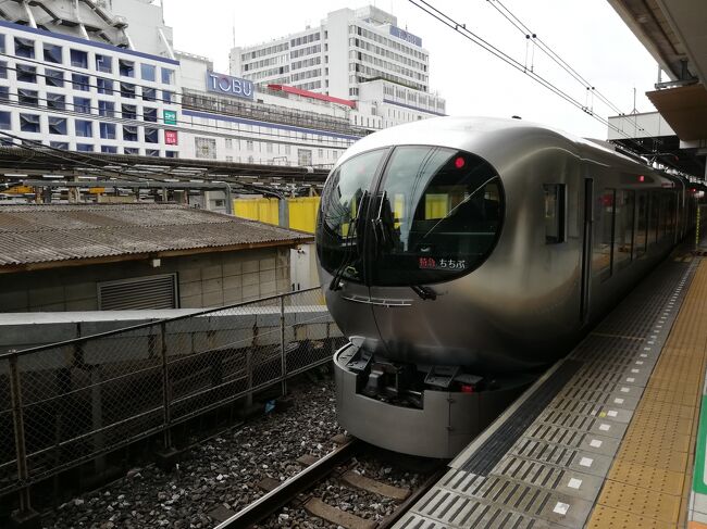 西武鉄道の特急ラビューに以前から乗ってみたいと思っており桜の季節に秩父に行きました。