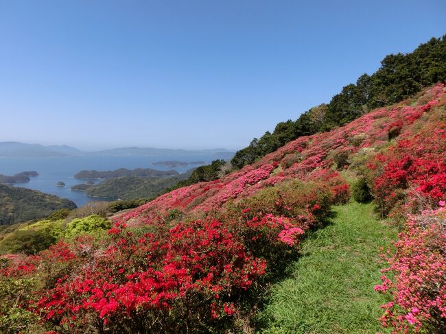 春の佐世保の観光といえば、まず某巨大テーマパークが思い浮かびますが、今回あえてそこはスルーして、展望スポットを訪れたり、地元の名物グルメを味わったりと、気の向くままに各地を巡ってみました。軽い気持ちで参加した軍港クルーズは、思いがけず深く心に刻まれる体験となりました。