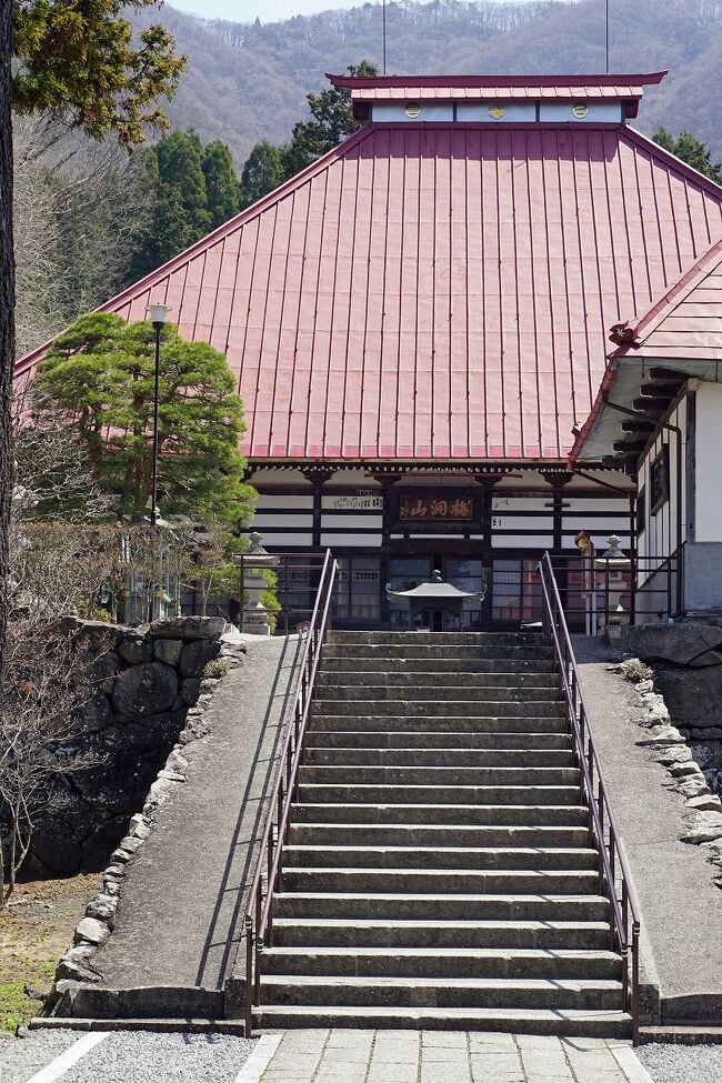 前の晩は早々に寝てしまったので、久しぶりに熟睡した気分です。午前6時前には目が覚めたので朝風呂をいただきます。早い時間も貸し切り状態でした。ホテルの朝食は地元の食材の1つも無いものでしたが、食べておかないと小布施の町を歩けないのでしっかりいただきました。配膳のおばさんとトラブルになって、フロントにクレームを入れたりということがありましたが、午前9時前にホテルを出て長野電鉄の湯田中駅に向かいます。2日目も天気は良く、朝から快晴の空に「北信五岳」がきれいに浮かんでいます。午前9時19分の信州中野駅行きの電車に乗って、乗り換えた後小布施駅には10時2分に到着です。小布施が今回の旅の目的と言っても過言では無いほどなので、事前にHPから観光案内所にパンフレット類の郵送をお願いしてありました。事前に計画を立てておいて良かったです。駅前の案内所で「おぶせロマン号」という町内の巡回バスに乗って「岩松院」に向かいました。ところがバスのドライバーさんから1つ手前の「浄光寺」に参拝して山の麓の道を歩いて、「岩松院」を見学すると次のバスにちょうど良いと教えてもらいそれに従います。「浄光寺」は風情のあるお寺でしたが、山の山腹に本堂があるのとそこまでの参道の石段がほとんど自然石が並んだ状態なので上り下りが大変でした。ここから「岩松院」まではリンゴ畑と遠くに見える山々を眺めながらの道なので気持ち良かったです。「岩松院」は葛飾北斎の描いた八方睨みの鳳凰の天井画で有名ですが、確かにこれは凄い迫力でした。そして新たな発見としては小林一茶の「やせ蛙負けるな一茶これにあり」という句が詠まれたのがこの寺だとことです。<br />