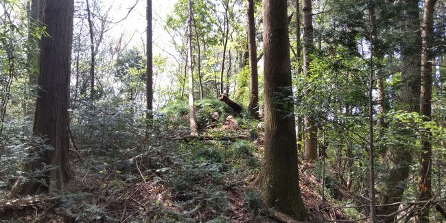 「熊野古道」･「旧東海道」･「旧中山道」･「旧甲州街道」・「旧日光街道」と歩き終え、最後の「旧奥州街道」を時間を見つけて歩き始めています。<br /><br />今回は前回終了地点の「白沢河原」からではなく、1行程飛ばして「喜連川本町バス停」よりスタートすることにしました。<br />理由は、台風が近づき明日の午前11時以降は雨の予報。<br />・喜連川以降は休憩するところも少ない。<br />・気になっている「南和田一里塚」を天候条件のいい日に確認したい。<br />・喜連川の宿が1人利用 素泊まりで1万円近い、バスを利用してのゴルフ場併設のホテル利用で歩き出しても馬頭からの7時台一番バスで7時半開始。大田原に午前中にゴールは不可能。<br /><br />先に喜連川～大田原・明日は白沢河原～喜連川本町にします。<br /><br />同居人が近くに用事があり送ってもらいました。今日は岡本駅から出発地に移動します。<br /><br />氏家駅 8:25→喜連川本町バス停 8:55 出発→南和田一里塚9:55～10:25(一里塚を探すのは当初から30分と決めておきました)→きみの湯12:30～14:15→新富三丁目バス停16:55到着/17:07バス→野崎駅→宇都宮駅→アーバングレイス宇都宮18:30<br /><br />ファミマ 大田原佐久山店 11:40～12:00 もぐもぐ休憩・トイレ利用<br />きみのゆ 12:28～14:15 日帰り入浴利用・昼食休憩<br />セブン大田原親園店 15:10～15:20 トイレ・水分補給休憩<br />ミニストップ大田原富士見店 16:20～16:30 トイレ・もぐもぐ休憩<br /><br />交通費：250円 (岡本駅～氏家駅)+590円(氏家～喜連川本町バス停)+200円(新富三丁目バス停)+690円(野崎駅～宇都宮駅)+170円(宇都宮駅～県庁前)=1730円<br /><br />宿泊:ホテルアーバングレイス宇都宮大きめダブルをシングルユース利用 じゃらんポイントとクーポン利用後 6500円<br /><br />今日のメインは南和田一里塚。ここが土道になりますが他は 平坦なアスファルト道が続くコースです。コンビニは4～5KM程度に1軒有ります。暑い日(28.5度)になってしまいましたので、水分補給でコンビニを見つけたら必ず寄りました。クールダウンの為、きみの湯で長い時間休憩し涼しい室内で体を十分に冷やしました。<br /><br />標識・案内看板等はないので地図やガイドブック・スマホの地図サイト等の情報が必要です。<br /><br />見つけられない・判断に迷う箇所：南和田一里塚だとおもわれる塚を見つけましたが確信はえられず。<br />畑の横の旧道を歩きます。畑は6反(6区画)に分かれていて喜連川から歩く方は4つ目の畑があるあたりで、右(東)に入ります。手前から右手側には土管多数→不法投棄黄色看板→不法投棄できないように倒れた木を利用して侵入できないようにしてある。<br />この黄色の看板の少し手前の箇所で右に入りV字堀を(この堀は古道という説もあり)覗くと不法投棄のゴミがありますが、数M佐久山方面に進むと堀を土で埋めて渡れるような箇所があります。(この先佐久山方向のV字堀にも少し不法投棄のゴミ有。)この土道橋を見つけられば塚を見つけることができると思います。<br /><br />コンビニ・飲食店2～３店がっつり系・こだわりレストラン 有。<br />トイレ：コンビニや飲食店利用・佐久山宿公共トイレ<br /><br />以下難しくなる次回以降の覚書<br />・このゴール地点の新富三丁目バス停に向かう時間帯に注意。バス本数少な目。<br />・次回のゴール地点をどこに設定するか？ホテルがほとんどないため調べる。<br /><br /><br /><br />