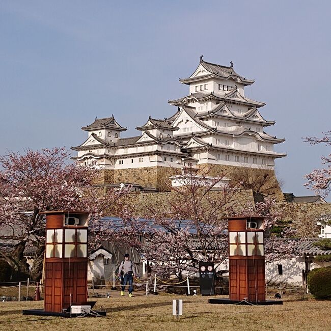 コロナの為、今年は海外を諦め国内旅行をすることに。<br />中1と今年受験生だった中3の卒業旅行も兼ねて、家族4人で。<br />まだ行ったことのない山陰、山陽方面へ。<br /><br />すべて個人手配で。<br />宿は4人で1部屋。しかも、1人1ベット(1布団)にこだわって宿をとってます。<br /><br />広島→島根→鳥取→兵庫を主に観光しました。<br /><br />4日目は鳥取砂丘で遊んでから、すぐ近くの浦富海岸で島めぐり遊覧船に乗り、砂丘に帰ってきて砂丘会館でお昼ご飯と砂丘美術館。<br />時間ギリギリだったけど姫路城へ。桜も咲いてていい感じ。<br />4日目の宿はネスタリゾート神戸<br /><br />
