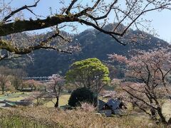 神奈川県の13酒蔵をコンプリートし津久井湖城山公園でジェラートを