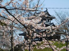 サクラ満開の高田城址公園とブルーインパルス（越中・上越の春を巡る旅2022【５】）