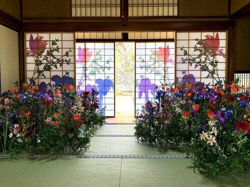 花咲く京都/そうだ京都、行こう。春を感じるアートな空間を愉しんで