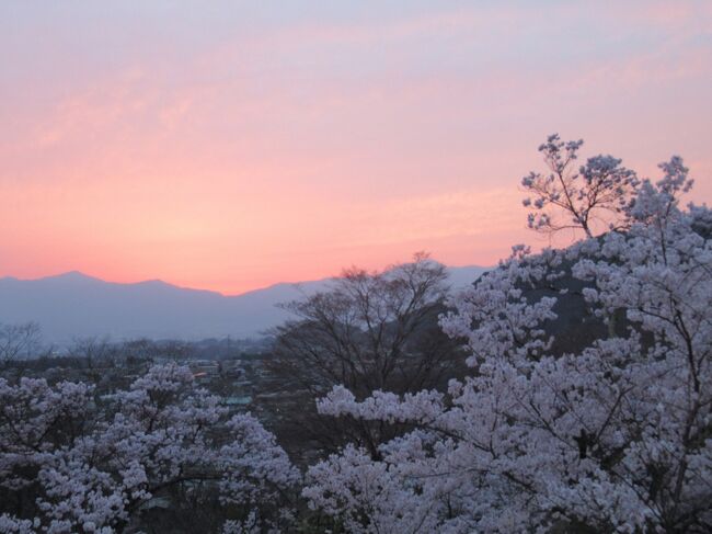 バイクで桜を見に高遠城址公園へ