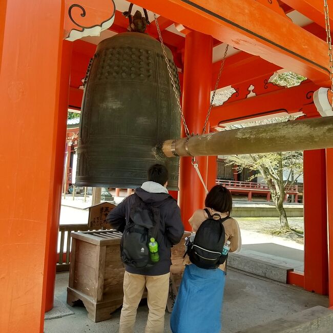 昨日の近江八幡から、京都に入りリソル京都四条室町にＩＮ。荷物を預けて比叡山延暦寺へ。<br />何で行こうか考えて、バスで行くことに。<br />ケーブルカーとロープウェイもあるけど、運賃が結構高額なのと乗り換え面倒。<br />四条河原町のOPA向かい側のバス停から京阪バスに飛び乗って約一時間。比叡山バスセンターで下車。二時間ほど東塔周辺見学と国宝殿を見学。<br />国宝殿では、お坊さんが展示物の解説をしてくれるイベントに重なりためになりました。<br />桜はふぶきが散るタイミング。<br />風がかなり寒かったよ～、天気はよかったです。<br />帰りはバスでうつらうつら眠りながら四条へ到着！<br />立呑屋でお酒飲んで阪神戦をお店で見て、ゆったり過ごせた1日でした～<br /><br />京都から行ったけど、場所は滋賀なのね。