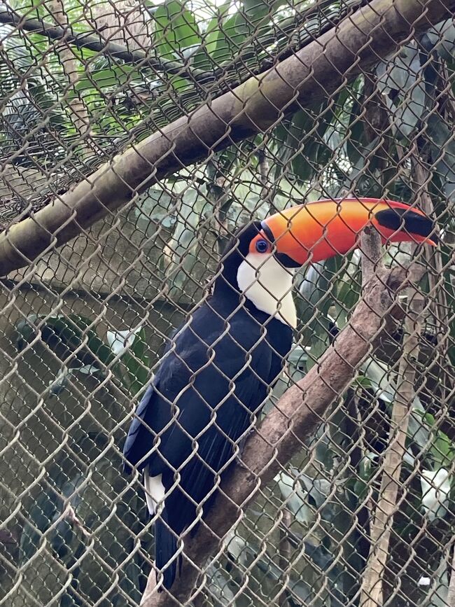 2022/4/16にサンパウロの動物園を訪問。