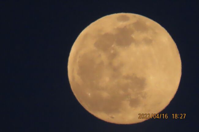4月16日、午後6時26分よりふじみ野市から満月を見ました。<br /><br /><br /><br /><br />*写真は午後6時26分に撮影した満月