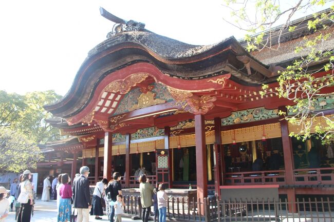 1月の京都旅から帰り、「京都は楽しかったね~!」と言い飽きた頃、どっか行こうかとオットと相談~^^<br /><br />随分長い間飛行機に乗っていないもので「飛行機に乗せてくれ~!!」と叫んだ私。マイルも結構溜まっていますので航空運賃はかかりません。どこへ行こうか~、沖縄はちょっと遠い、北海道は寒い、そんじゃ九州にしようとなったのでありました。<br /><br />九州といっても広いよ、どこにするか、別府のインタコは泊りたいし、30年以上前に訪れた由布院にも行きたい~。<br />大まかにはこれで決まりました。福岡を一泊入れたのは、由布院から九重夢大吊橋行きのバスの時間に間に合わせるには、大分より福岡の方が便利だったのです。何たって一日2便しかバスがないのですよ。<br /><br />夢の様な九州旅の始まりです。<br /><br /><br />【日程】<br />4/9(土) <br />羽田13:00→福岡14:55 JAL319<br />太宰府観光<br />ホテルWBFグランデ博多泊<br /><br />4/10(日)<br /> 博多バスターミナル9:48→由布院11:59<br /> 九重夢吊橋観光<br /> 由布院別邸樹泊<br /><br />4/11(月) 由布院散策 <br /> 由布院別邸樹泊<br /><br />4/12(火) <br />由布院バスセンター9:35→別府10:26<br /> JR別府11:19→杵築11:32<br /> 杵築観光<br /> JR杵築13:12→別府13:26<br /> ANAインターコンチネンタル別府泊<br /><br />4/13(水) <br />大分19:20→羽田20:50 JAL674<br /><br />★観光<br />太宰府天満宮→https://www.dazaifutenmangu.or.jp/<br /><br />★ホテル<br />ホテルWBFグランデ博多→https://www.hotelwbf.com/grande-hakata/?utm_source=google&utm_medium=mybusiness<br /><br />★食事・カフェ<br />WITH THE STYLE cotton.→https://www.withthestyle.com/restaurant/<br /><br /><br />由布院編→https://4travel.jp/travelogue/11751836<br />杵築編→https://4travel.jp/travelogue/11751837<br />別府編→https://4travel.jp/travelogue/11756357<br /><br /><br /><br /><br /><br /><br /><br /><br /><br /><br /><br /><br /><br /><br /><br />