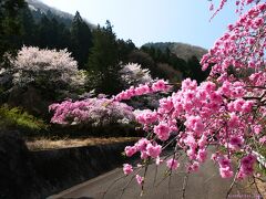 群馬県