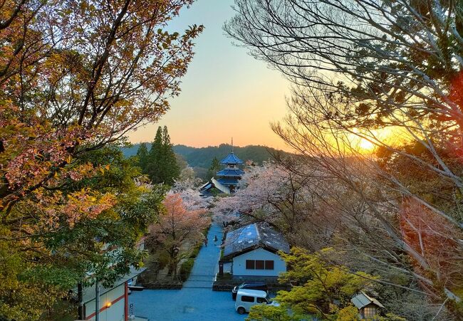 ﾅｿﾞのﾀｲﾄﾙでｽﾐﾏｾﾝｗ<br />２月の「ANAでｷｭﾝ」でｹﾞｯﾄしました羽田＝伊丹の航空券。行く先は奈良と決めていました。令和の修学旅行を模倣したり、日本神話の沼にどっぷり浸かったりして満喫しました。あまり考えていませんでしたが、吉野の桜が満開の時期も重なったので行ってきました一日目、ｽﾀｰﾄです。<br /><br />＊＊＊ｵｶﾈﾉｺﾄ＊＊＊<br />JR乗車券　籠原→浜松町：1,342円（suica）<br />JRｸﾞﾘｰﾝ自由券（休日）：800円（suica）<br />ｻﾝﾄﾘｰ翠JINｿｰﾀﾞ缶：193円（suica）<br />東京ﾓﾉﾚｰﾙ　浜松町→羽田空港第2ﾋﾞﾙ：492円（suica）<br />ｻﾝﾄﾘｰ角ﾊｲﾎﾞｰﾙ：240円（ANA TOKYUｶｰﾄﾞ）<br />ANA 羽田→伊丹：0円（2,900ﾏｲﾙ）<br />ﾗﾝﾁ：800円（現金）<br />空港ﾘﾑｼﾞﾝﾊﾞｽ　伊丹→あべの橋駅（天王寺駅）行：650円（suica）<br />近鉄　大阪阿部野橋→吉野：990円<br />近鉄　同上　特急券：520円<br />バス　吉野駅→中千本公園：450円<br />吉野山ﾛｰﾌﾟｳｪｲ　片道：450円<br />一番搾り500ml缶：400円<br />近鉄　吉野→大和八木：530円<br />ﾃﾞｨﾅｰ：4,705円<br />ﾎﾃﾙ代：13,688円<br />-------------------------------<br />本日の集計：25,800円ﾅﾘ