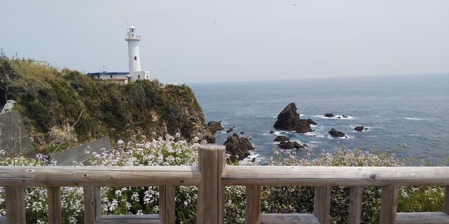 新幹線で名古屋まで行き、そこから近鉄特急しまかぜで伊勢の一つ先の駅宇治山田で降り、レンタカーを借りる。海辺のリゾートホテルで鳥羽二泊、志摩二泊。一日は伊勢湾フェリーで伊良湖岬に行き、鳥羽から志摩への途中で伊勢神宮を参拝。いつもはホテルではあまり夕食は食べないのだが今回は四泊ともホテルでの夕食とした。<br />（表紙の写真は大王崎灯台）