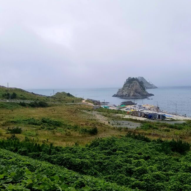 思い出記録として旅を振り返ってみました。<br />夏休みがなくモヤモヤし、どこかいきたいとやってきた釜山<br /><br />1日目は南浦ブラブラ・2日目はヒンヨウルマウル<br /><br />またバスにのり色々な所へ行ってみました。<br />暑かった…でも食欲は落ちず<br />食べました、食べ過ぎました